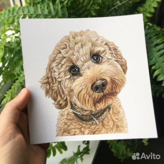 Портреты, картины под заказ/в наличии