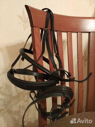 Амуниция разная для лошади и всадника