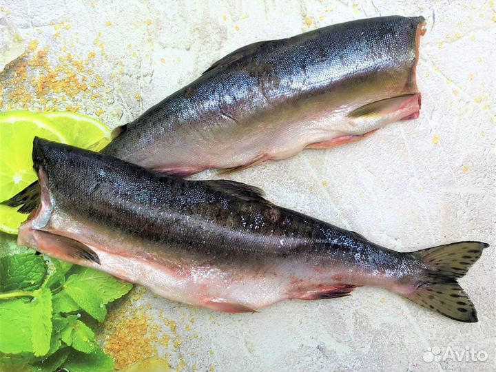 Рыба оптом в Барнаул (от скумбрии до сёмги)