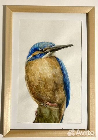 Акварельный рисунок «Птица Зимородок»