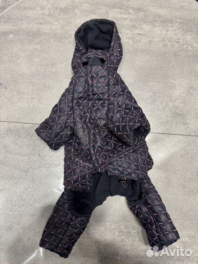 Комбинезон для маленькой собаки