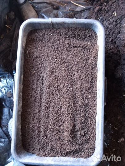 Черви для рыбалки