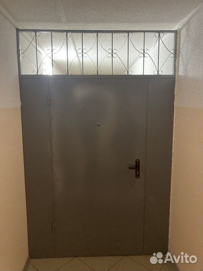 Тамбурная дверь