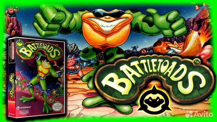 Картридж Sega battletoads