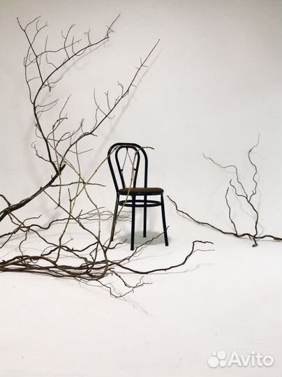 Фотостудя «Хамелеон» с циклорамой(Военвед/Каменка)