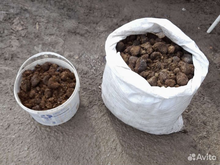 Конский навоз чистый