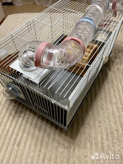 Клетка для грызунов большая