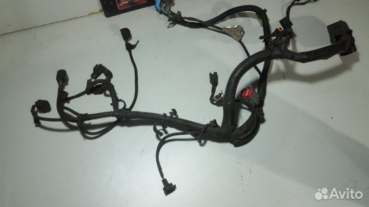 Проводка двигателя Ford Focus 2 хэтчбек 1 2005