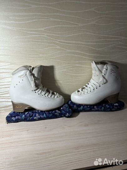 Коньки edea chorus