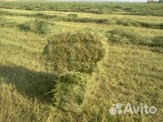 Сено.солома в тюках
