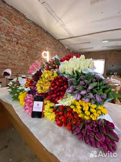 Тюльпаны оптом 8 марта (белые Update)