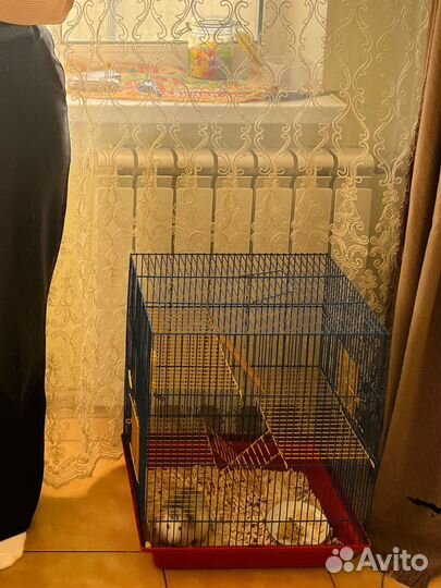Большая клетка для крыс