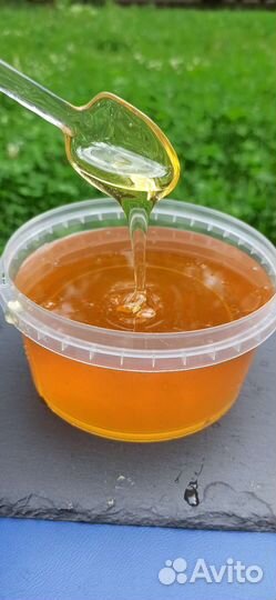 Мёд Лесной (2023)