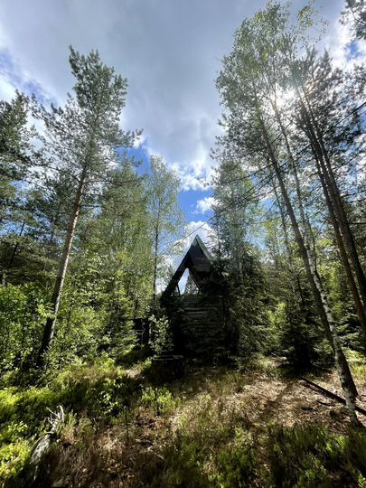 Участок 9,2 сот. (СНТ, ДНП)