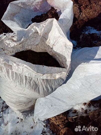 Навоз коровий самовывоз