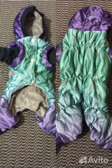 Одежда для мини йорка