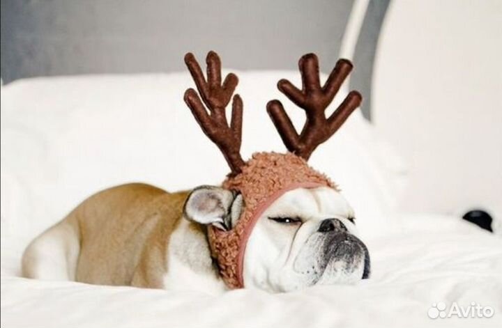 Передержка