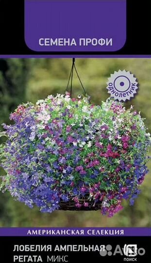 Рассада лобелии