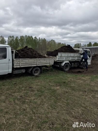Перегной