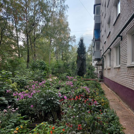 1-к. квартира, 31,8 м², 4/5 эт.