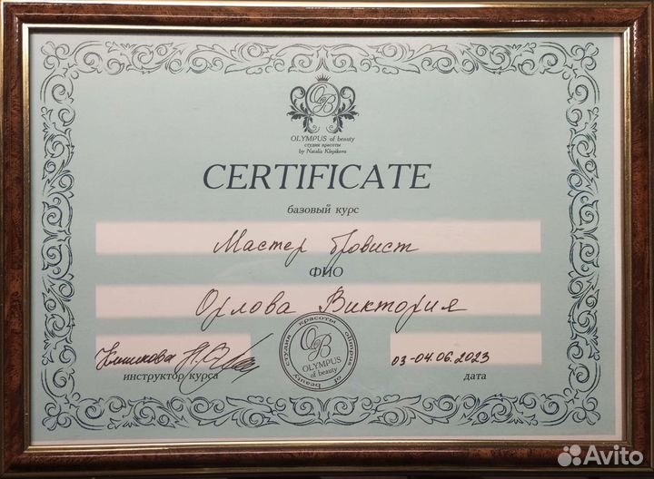 Master бровист