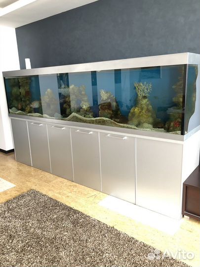 Аквариум