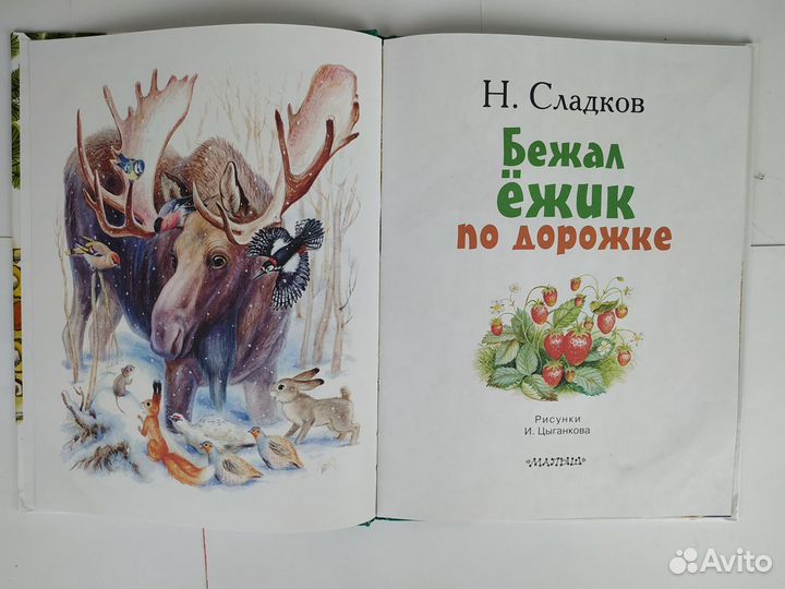 Детские книги. Усачев.Мультфильмы.Сладков.Чтение