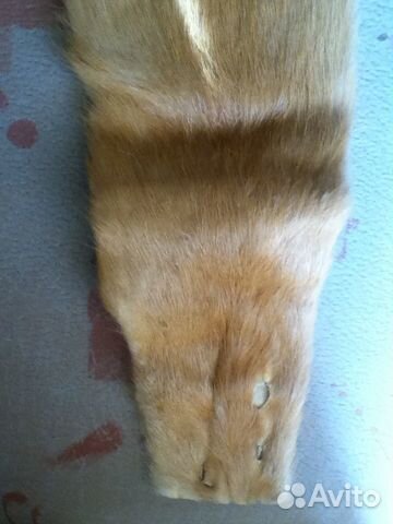 Шкурка золотистой нутрии