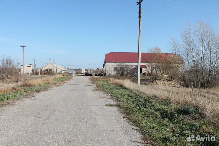 Действующая ферма