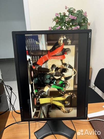 Монитор NEC LCD2190UXp