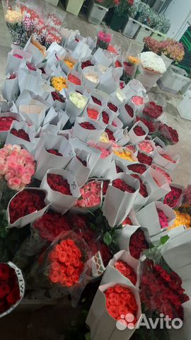 Роза Пачками Поштучно База цветов Опт