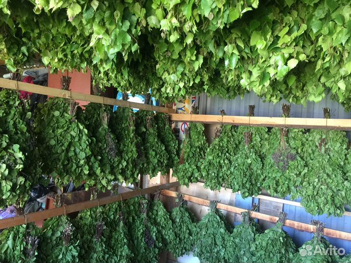 Веники для бани