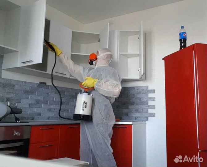 Травить тараканов, клопов, комаров, крыс мышей