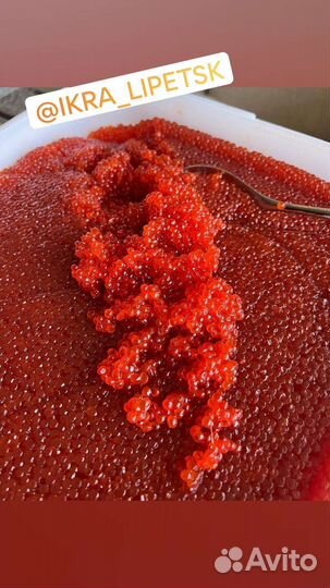 Икра красная (горбуша)
