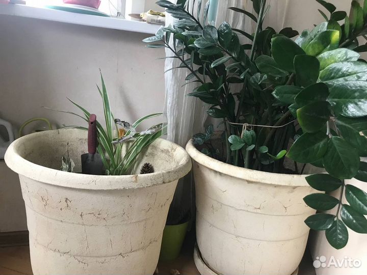 Огромный каменный горшок для растений