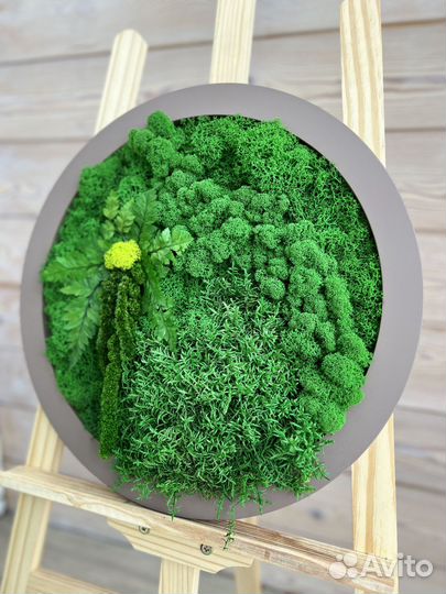 Панели из стабилизированного мха