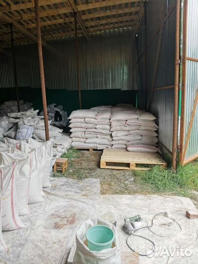 Овёс, ячмень, зерно, пшеница