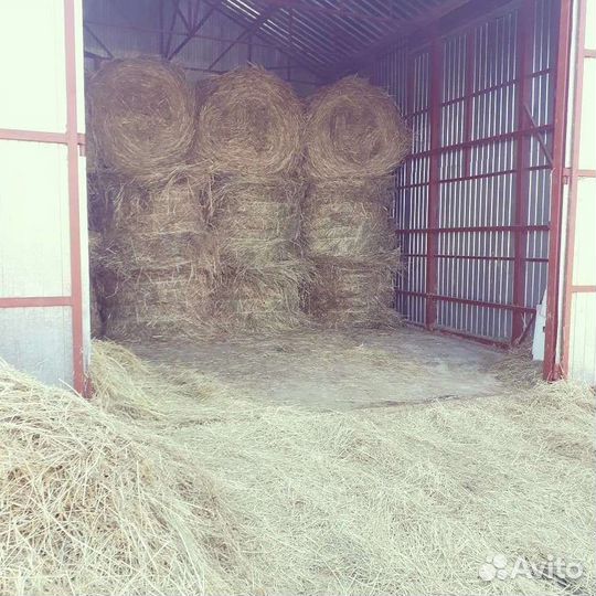 Мясо Кролика.доставка бесплатно