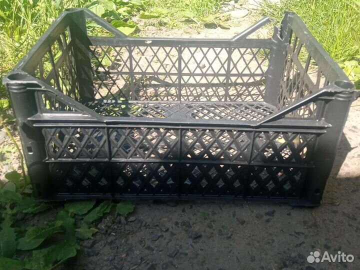 Пластиковые ящики для овощей бу