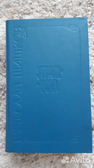 Книга В.Шишкова 