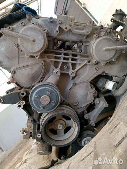 Двигатель VQ25 DE nissan elgrand