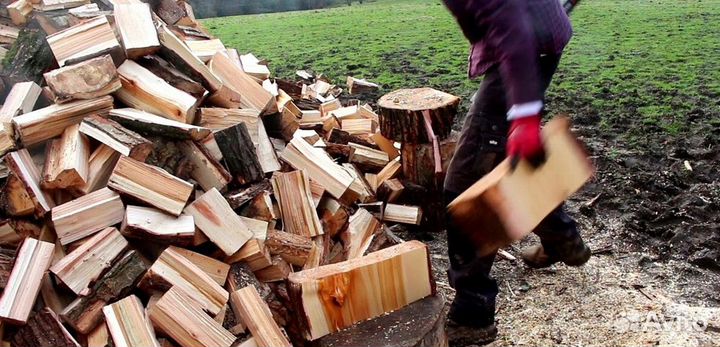 Дрова со Всеволожска