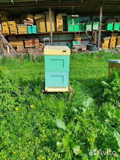 Улей для пчел бу