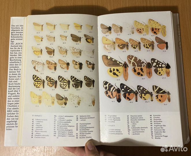 Книга Schmetterlinge Manfred Koch