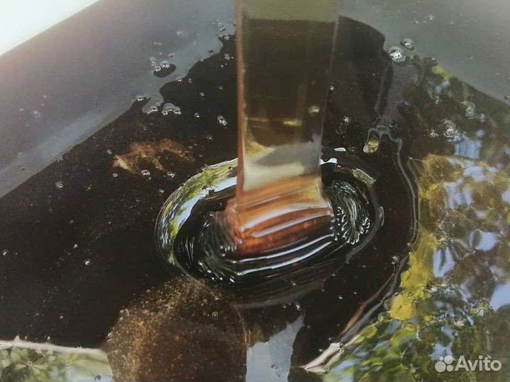 Алтайский гречишный мёд, мёд в сотах, прополис
