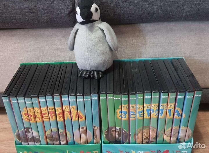 Твои весёлые друзья зверята