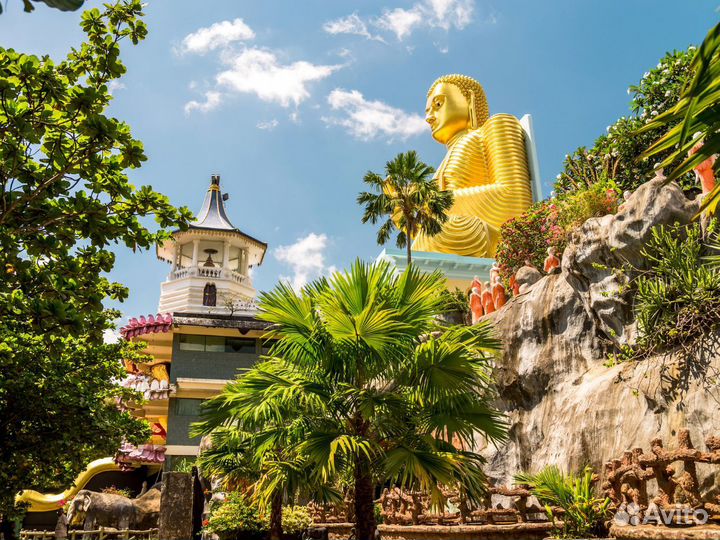 Отдых на Sri-Lanka от 7 ночей за 2-х человек