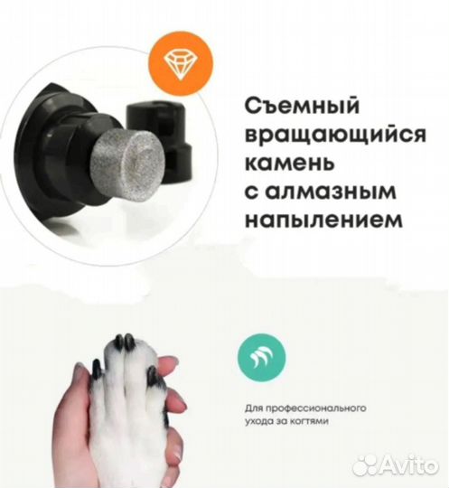 Когтеточка