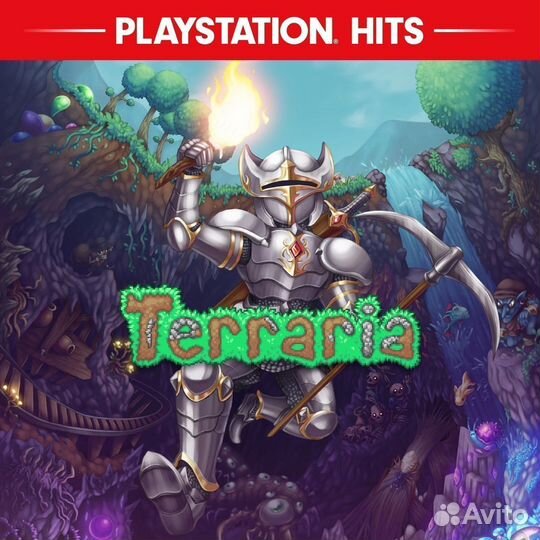 Terraria PS4 PS5