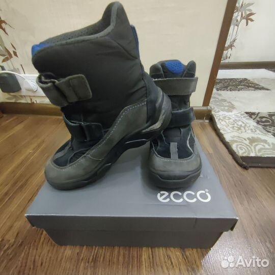 Ботинки зимние ecco для мальчика